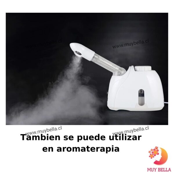 vaporizador facial