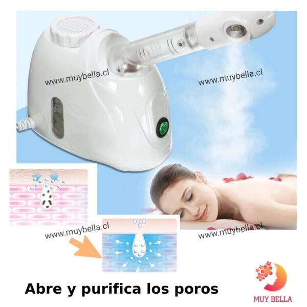 vaporizador facial